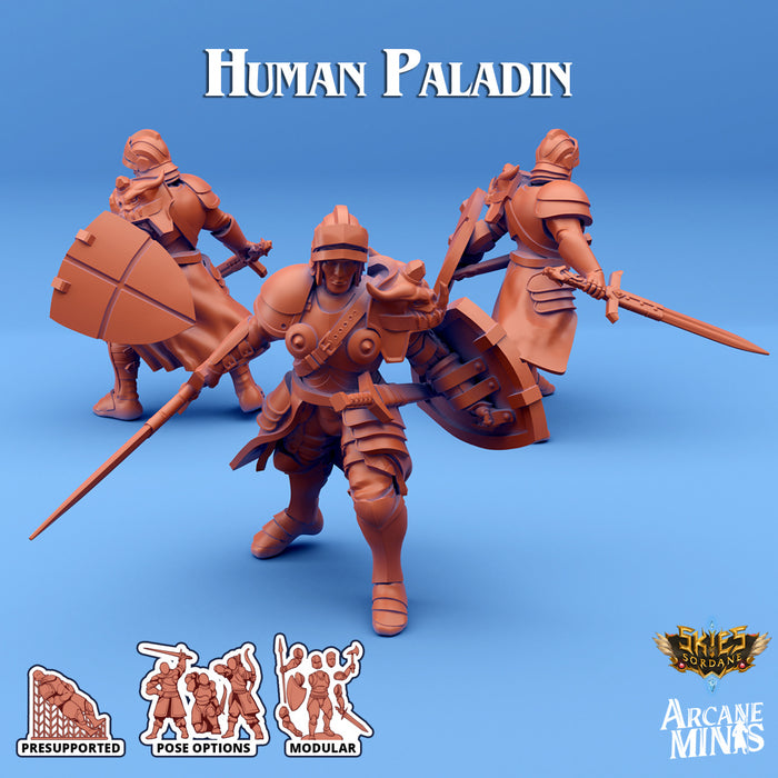 Human Paladin D | Skies of Sordane | Fantasy Miniature | Arcane Minis