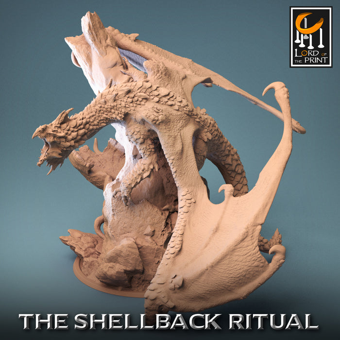 Legendary Chromatic White Dragon | The Shellback Ritual | Fantasy Miniature | Rescale Miniatures