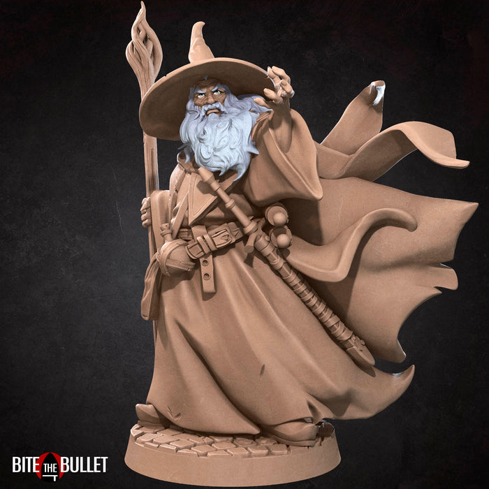 Wizard Explorer A | Bullet Rings | Fantasy Miniature | Bite the Bullet