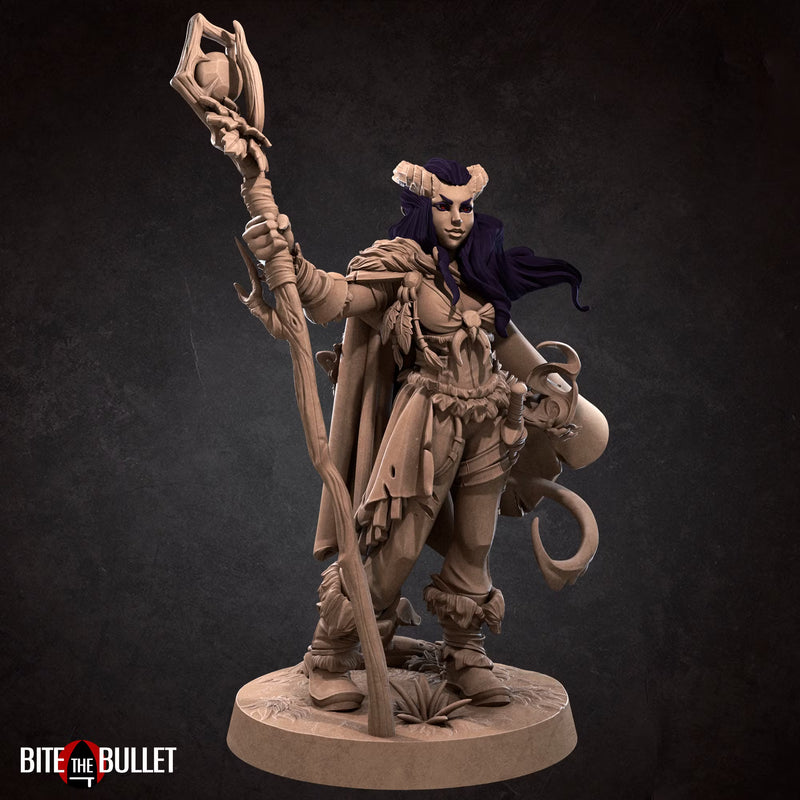 Tieflings Miniatures | Tabletop Fantasy Resin Miniatures | BTB