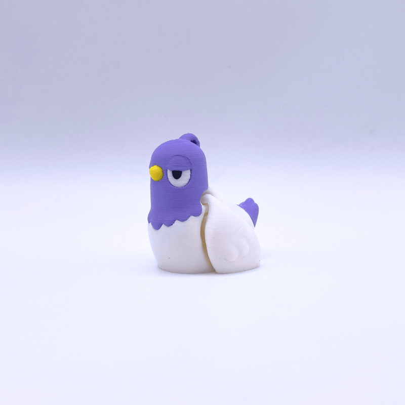 Pigeon