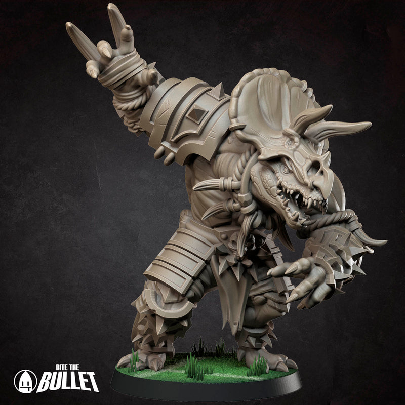 Tiny Tyrants Fantasy Football Team | Tabletop Fantasy Miniatures | BTB