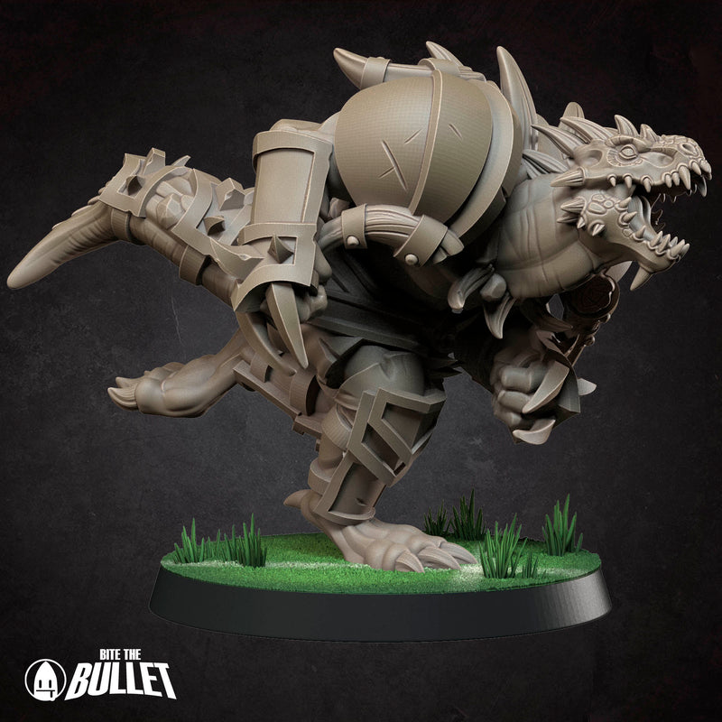 Tiny Tyrants Fantasy Football Team | Tabletop Fantasy Miniatures | BTB