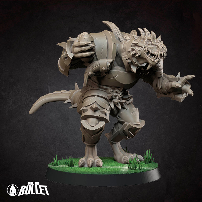 Tiny Tyrants Fantasy Football Team | Tabletop Fantasy Miniatures | BTB