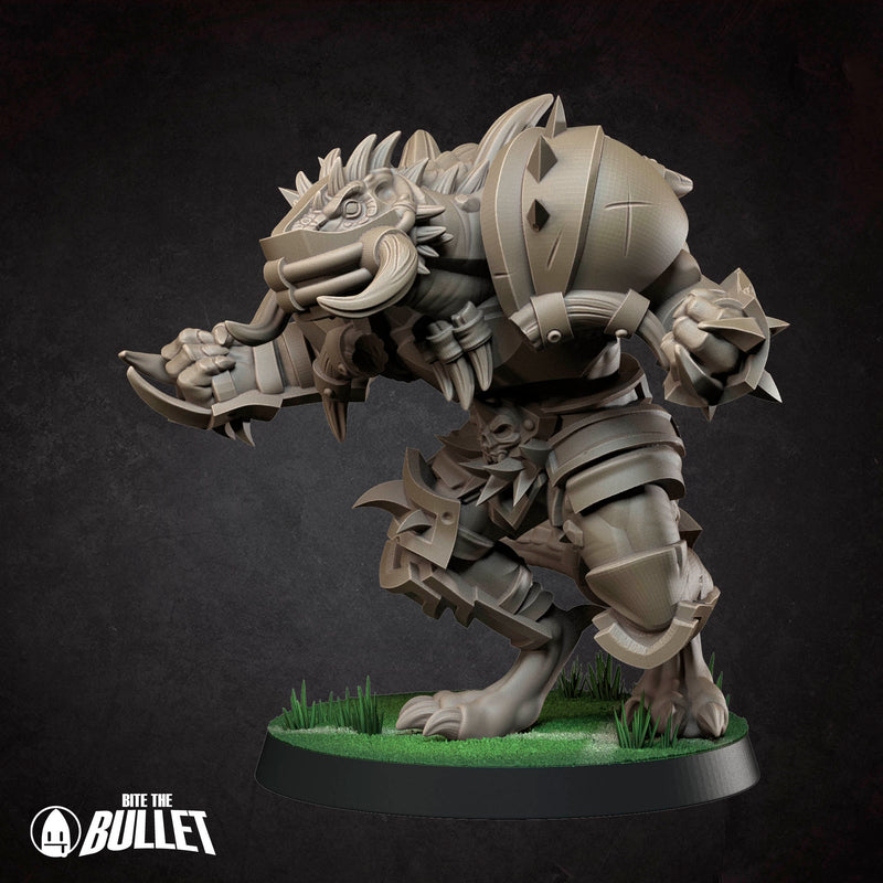 Tiny Tyrants Fantasy Football Team | Tabletop Fantasy Miniatures | BTB