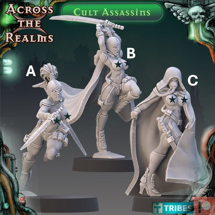Cult Assassin Miniatures | Grimdark Citizens | Across the Realms
