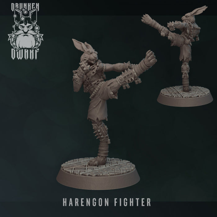 Harengon Fighter | Harengon & Loxodons | Fantasy Miniature | Drunken Dwarf
