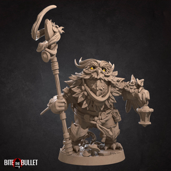 Owlfolk Miniatures (Full Set) | Fantasy Miniature | Bite the Bullet