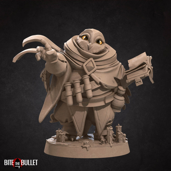 Wizard A | Owlfolk | Fantasy Miniature | Bite the Bullet