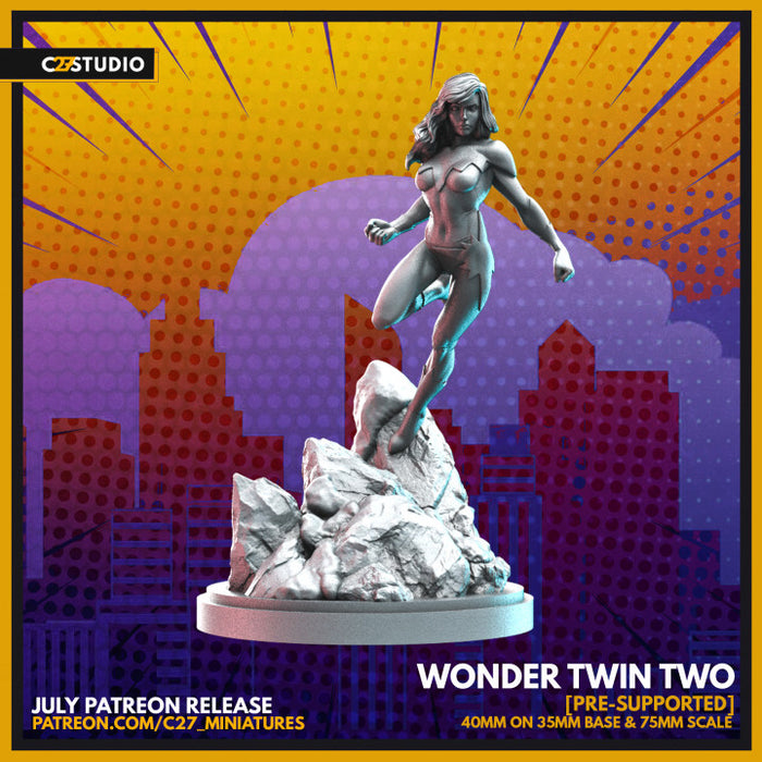 Wonder Twin Two | Heroes | Sci-Fi Miniature | C27 Studio