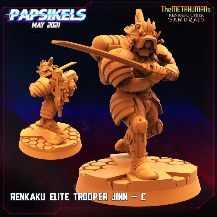 Renkaku Cyber Samurai Miniatures | Cyberpunk | Sci-Fi Miniature | Papsika