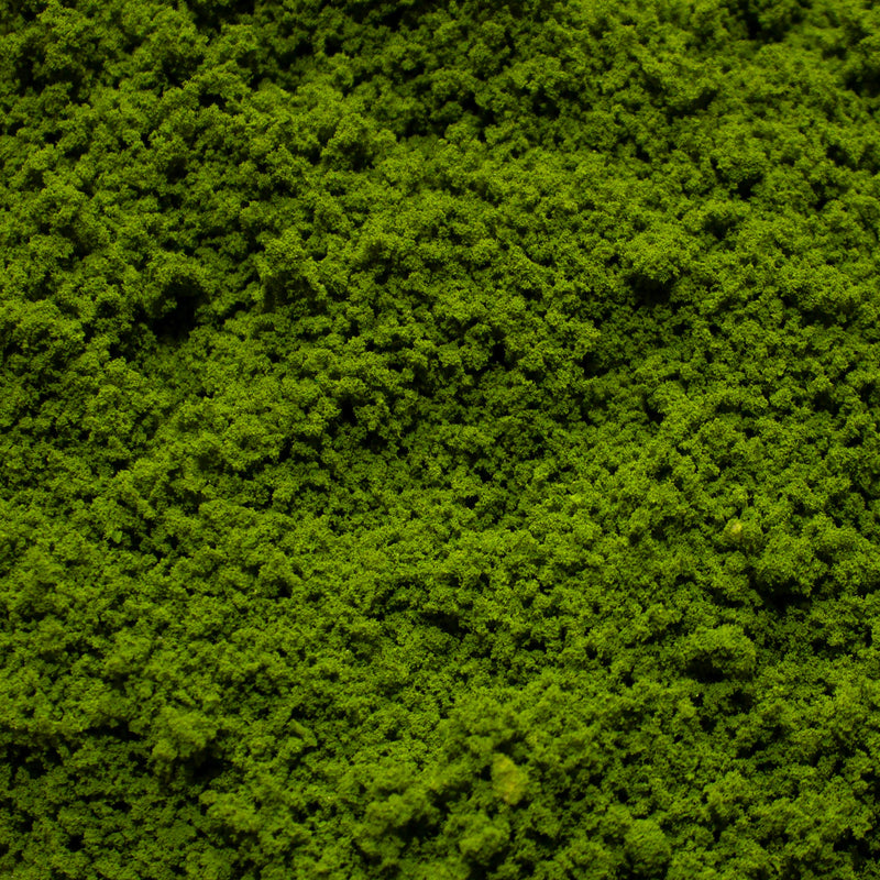 Coarse Flock - Rainforest Canopy