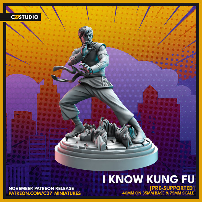 I Know Kung Fu | Heroes | Sci-Fi Miniature | C27 Studio