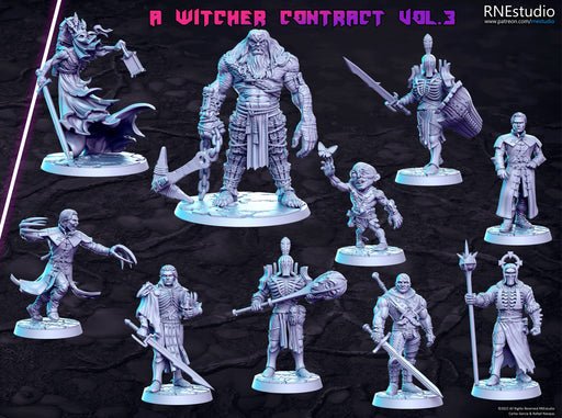 A Witcher Contract Vol 3 Miniatures (Full Set) | Fantasy Miniature | RN Estudio TabletopXtra