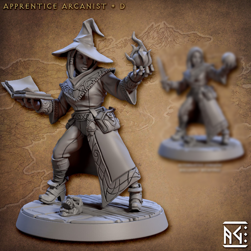 Apprentice Arcanist D | Arcanist Guild | Fantasy D&D Miniature | Artisan Guild TabletopXtra