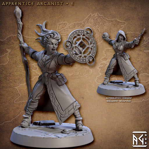 Apprentice Arcanist E (Alt) | Arcanist Guild | Fantasy D&D Miniature | Artisan Guild TabletopXtra