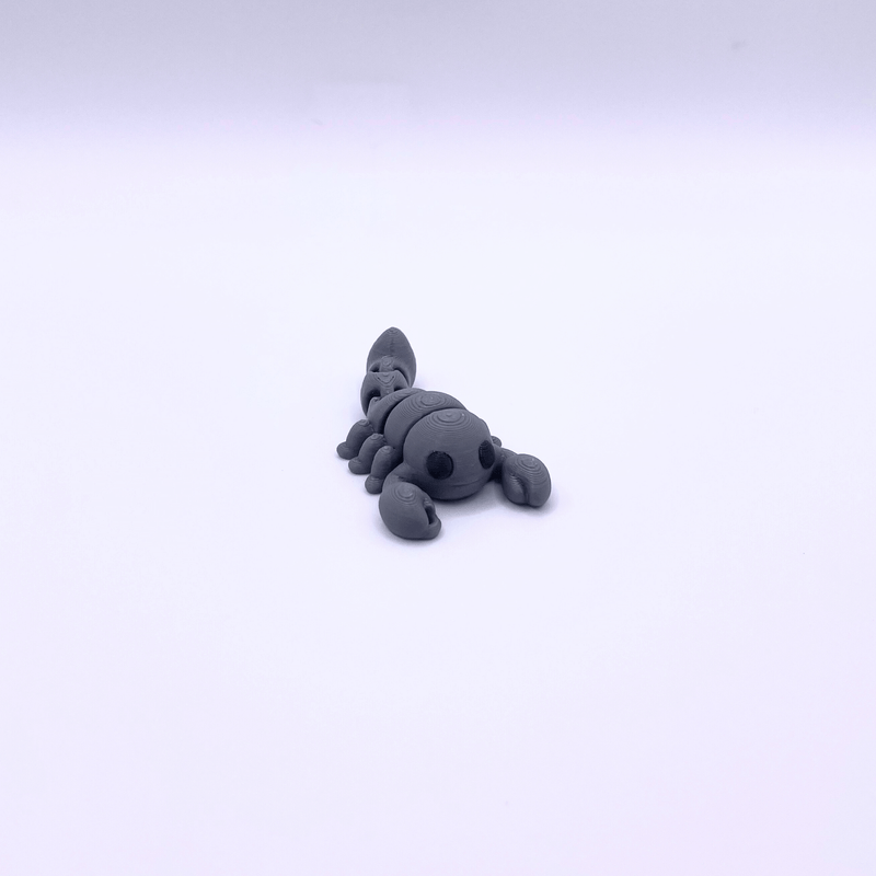 Scorpion Key Charm