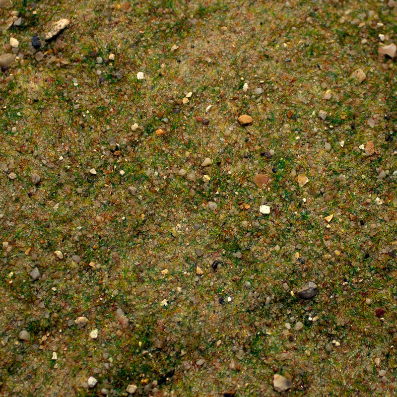 Base Ready Fields Of New Zealand