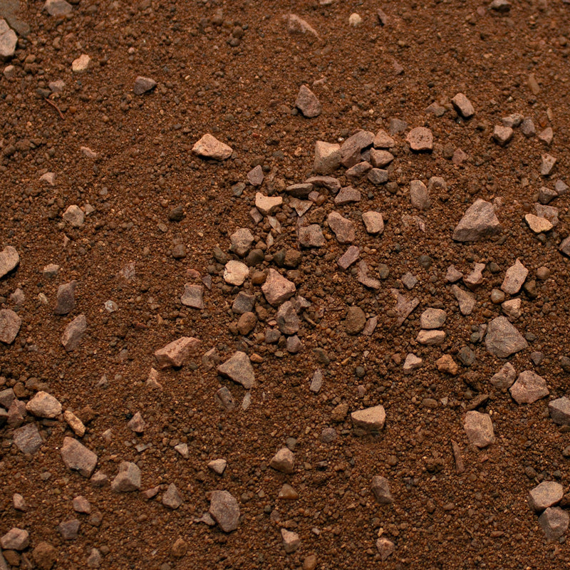 Base Ready Mars Earth