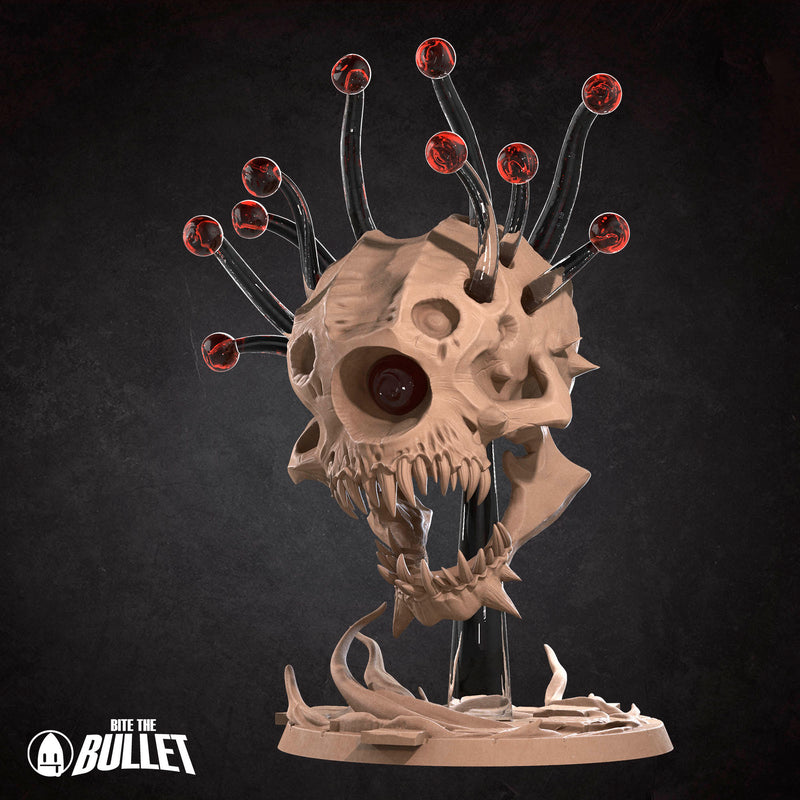 Encounters Undead Miniatures | Tabletop Fantasy Miniatures | BTB
