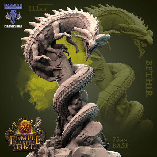 Bethir | Temple of Time | Fantasy Tabletop Miniature | Mammoth Factory TabletopXtra