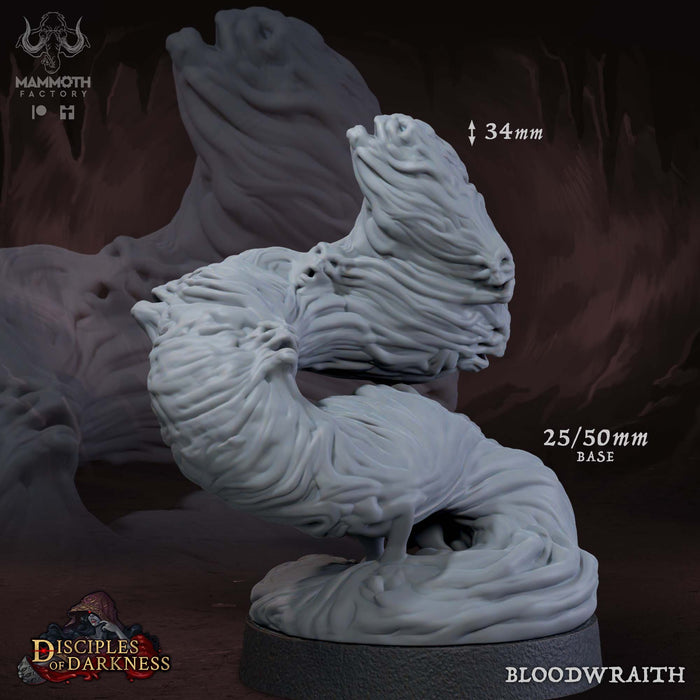 Blood Wraith | Disciples of Darkness | Fantasy Tabletop Miniature | Mammoth Factory