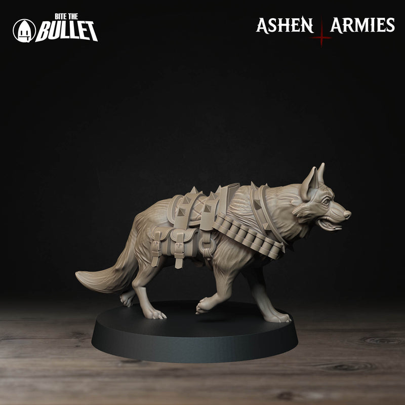 Combat Dog Miniatures | Sanctified Legion | Trench Grimdark | BTB