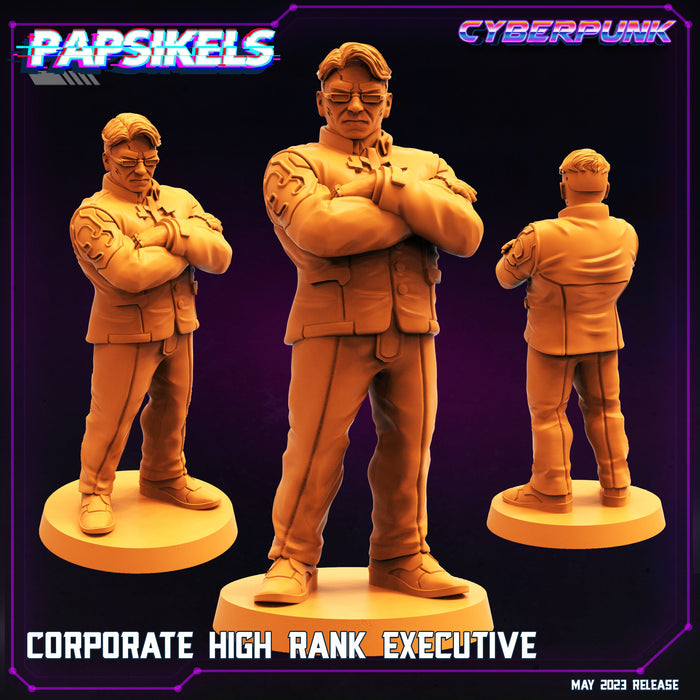 Corporate High Rank Executive | Cyberpunk | Sci-Fi Miniature | Papsikels TabletopXtra