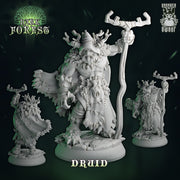Dark Forest Part 1 Miniatures (Full Set) | Fantasy Miniature | Drunken Dwarf TabletopXtra