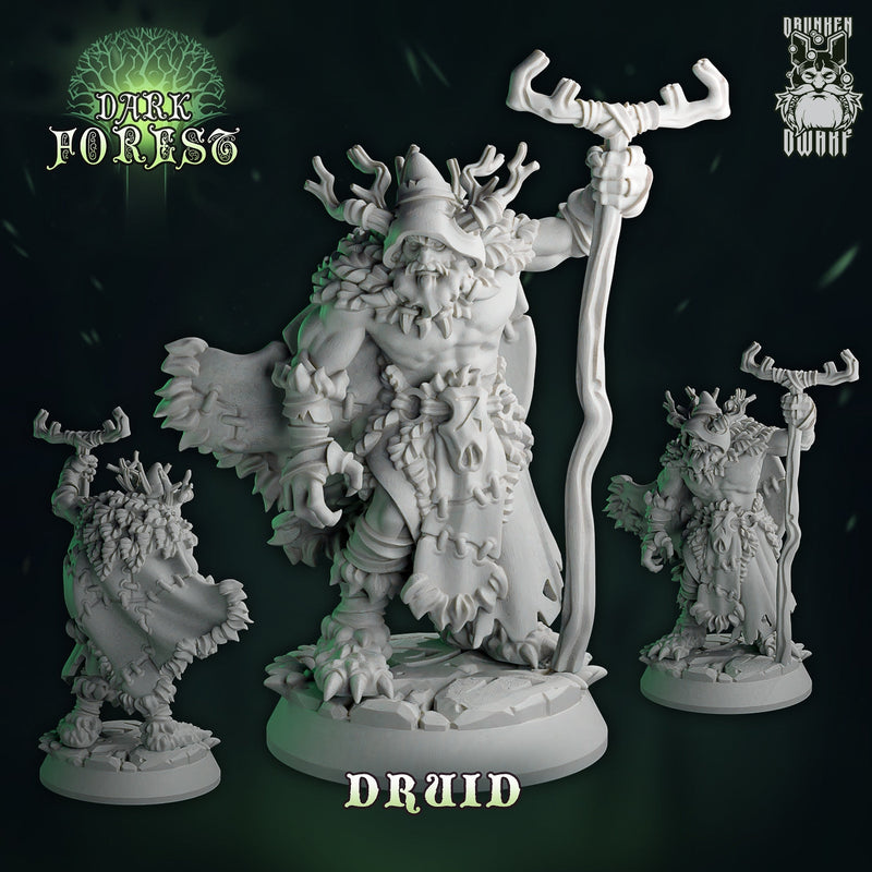 Dark Forest Part 1 Miniatures (Full Set) | Fantasy Miniature | Drunken Dwarf TabletopXtra