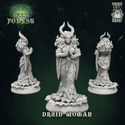 Dark Forest Part 2 Miniatures (Full Set) | Fantasy Miniature | Drunken Dwarf TabletopXtra