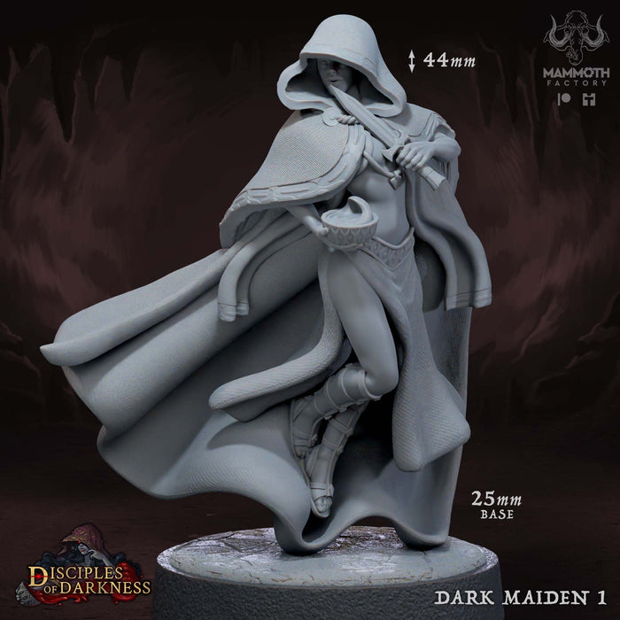 Dark Maiden Miniatures | Disciples of Darkness | Fantasy Tabletop Miniature | Mammoth Factory