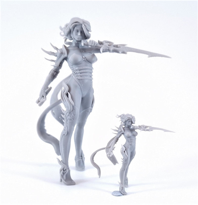 Dark Elf Assassin