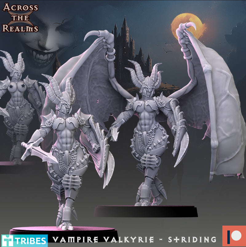 Vampire Valkyrie Miniatures | Echoes of the Night