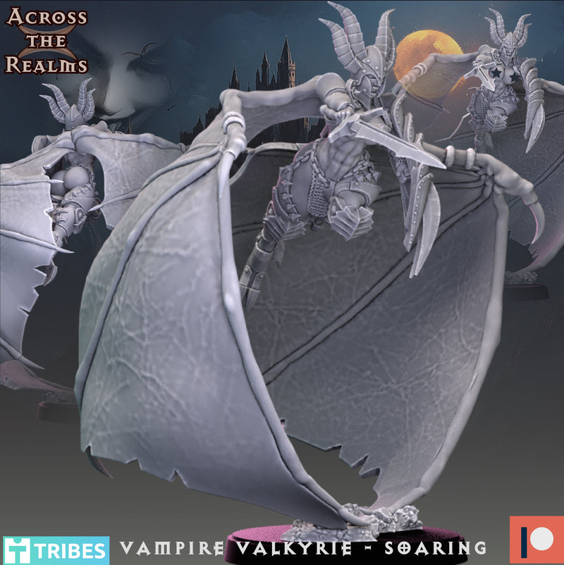 Vampire Valkyrie Miniatures | Echoes of the Night
