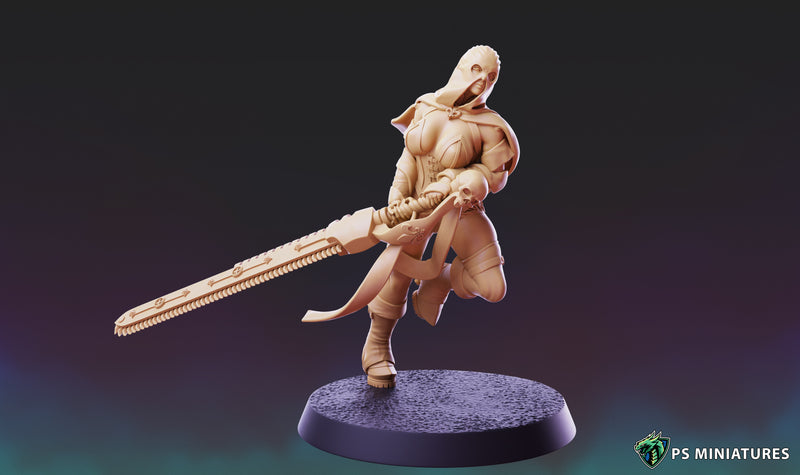 Divine Order Deathmaidens Vol 1  Miniatures | Pin-Up Miniatures | PS Miniatures