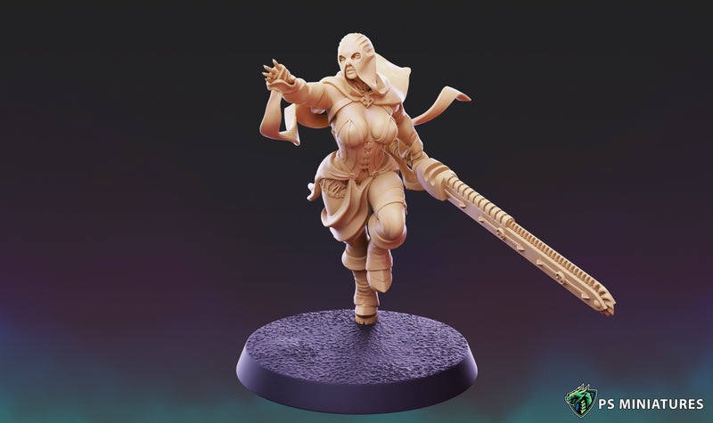 Divine Order Deathmaidens Vol 2  Miniatures | Pin-Up Miniatures | PS Miniatures