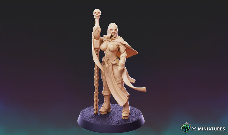 Divine Order Deathmaidens Vol 2  Miniatures | Pin-Up Miniatures | PS Miniatures