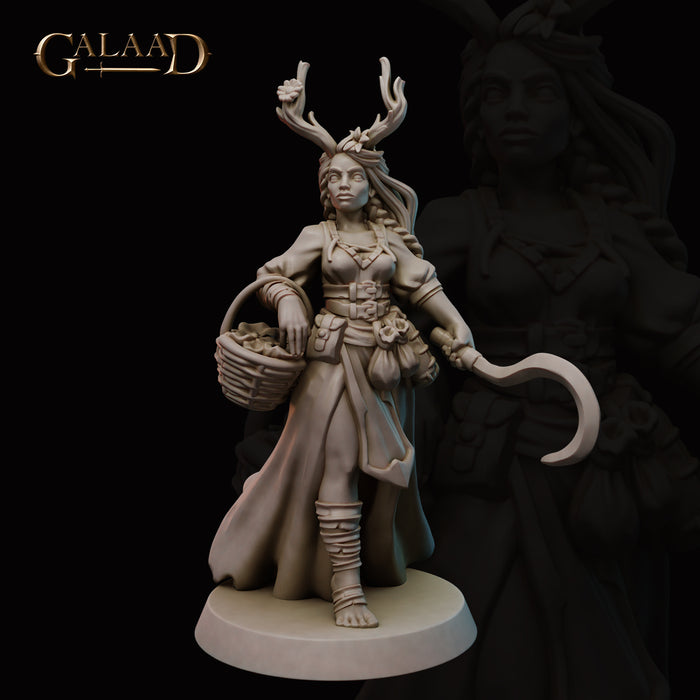 Druid | Female Mages and Fighters | Fantasy Miniature | Galaad Miniatures