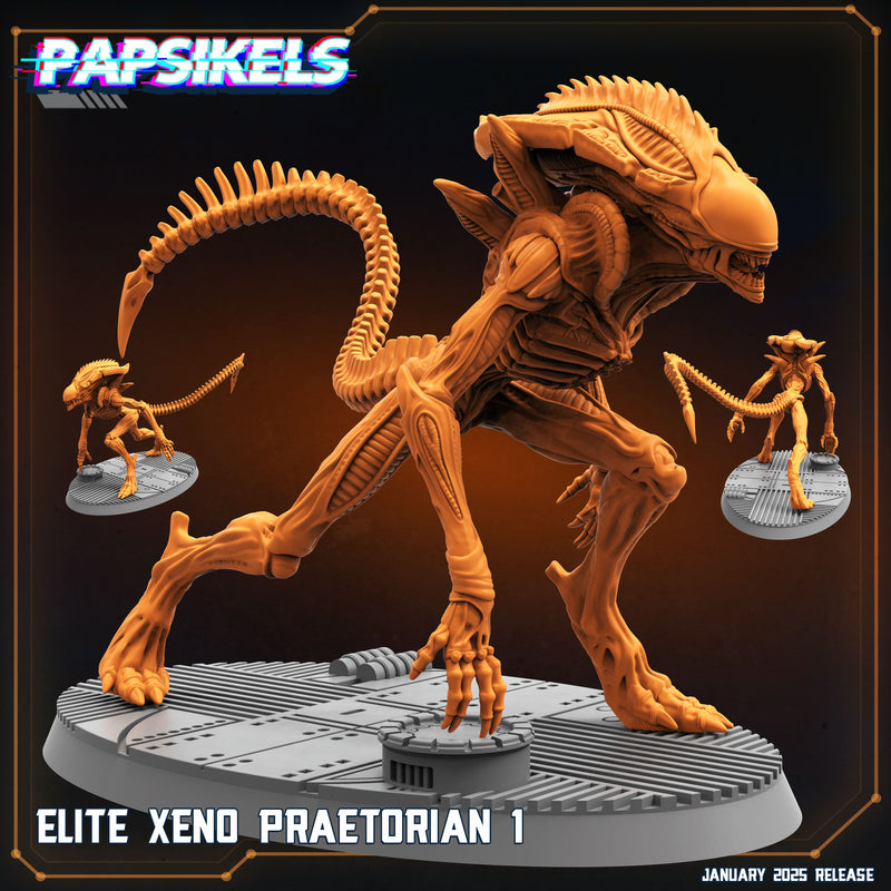 Elite Xeno Praetorian Miniatures | Aliens Vs Humans XIII Ascension | Papsikels
