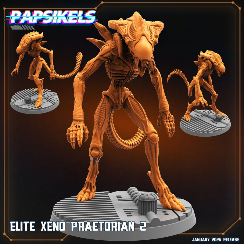Elite Xeno Praetorian Miniatures | Aliens Vs Humans XIII Ascension | Papsikels