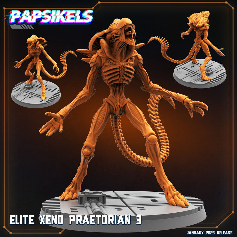 Elite Xeno Praetorian Miniatures | Aliens Vs Humans XIII Ascension | Papsikels