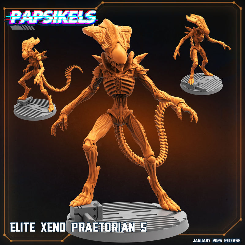 Elite Xeno Praetorian Miniatures | Aliens Vs Humans XIII Ascension | Papsikels