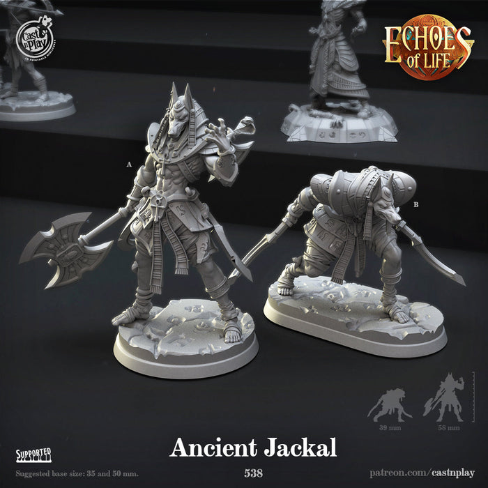 Echoes of Life Miniatures (Full Set) | Fantasy Miniature | Cast n Play TabletopXtra