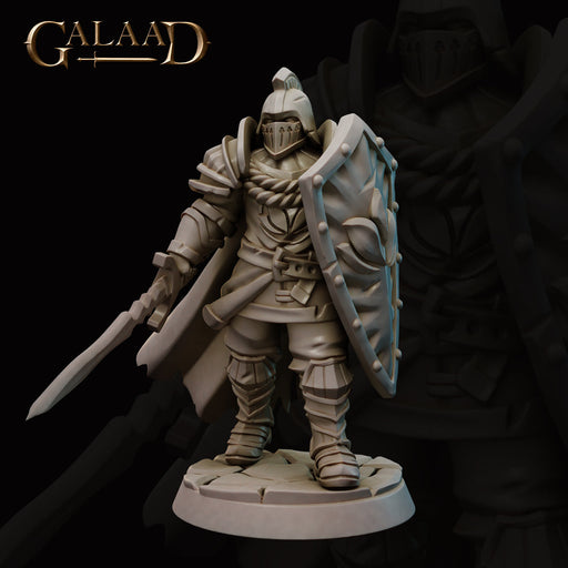 Elite Guard A | Escort the Queen | Fantasy Miniature | Galaad Miniatures TabletopXtra
