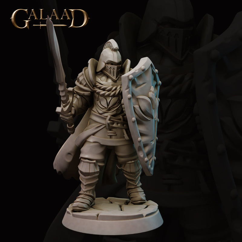 Escort the Queen Miniatures | Fantasy Miniature | Galaad Miniatures TabletopXtra