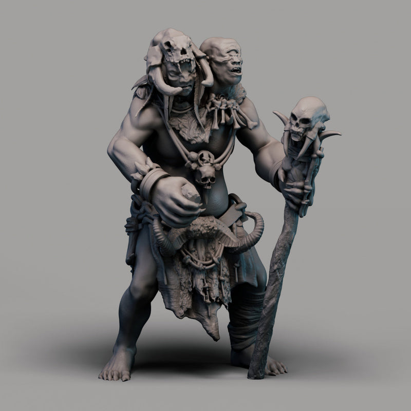 Ettin Shaman | Human Leap for Giantkind | 2moronic TabletopXtra