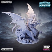 Expedition to Scarcrest Miniatures (Full Set) | Tabletop RPG Miniature TabletopXtra