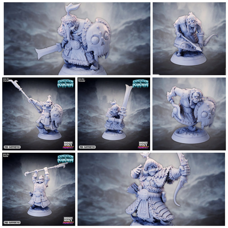 Expedition to Scarcrest Miniatures (Full Set) | Tabletop RPG Miniature TabletopXtra