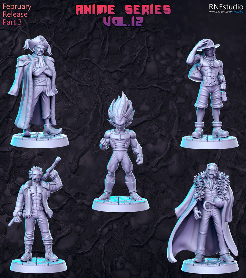 Anime Series Vol 12 Miniatures | Fantasy Miniature | RN Estudio